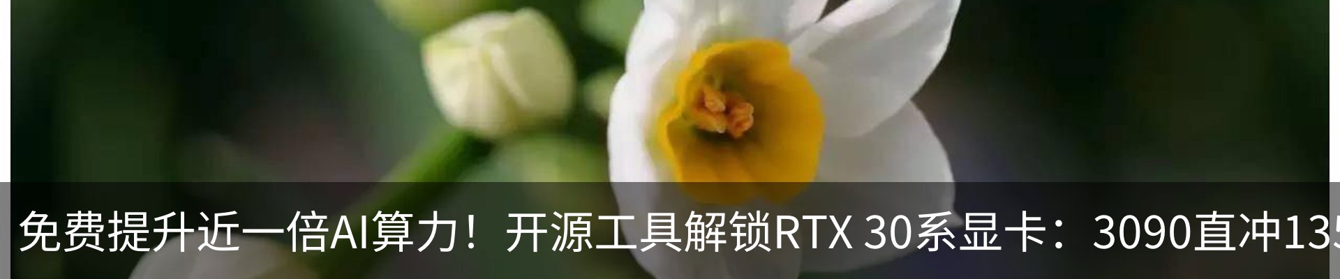 新闻动态